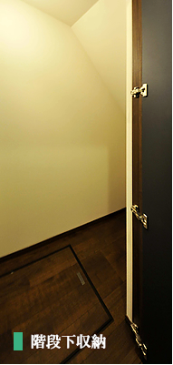 上から奥から広々な階段下デットスペースは収納に活用。